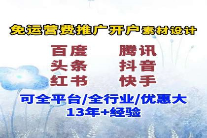 竞价排名优化策略案例分析